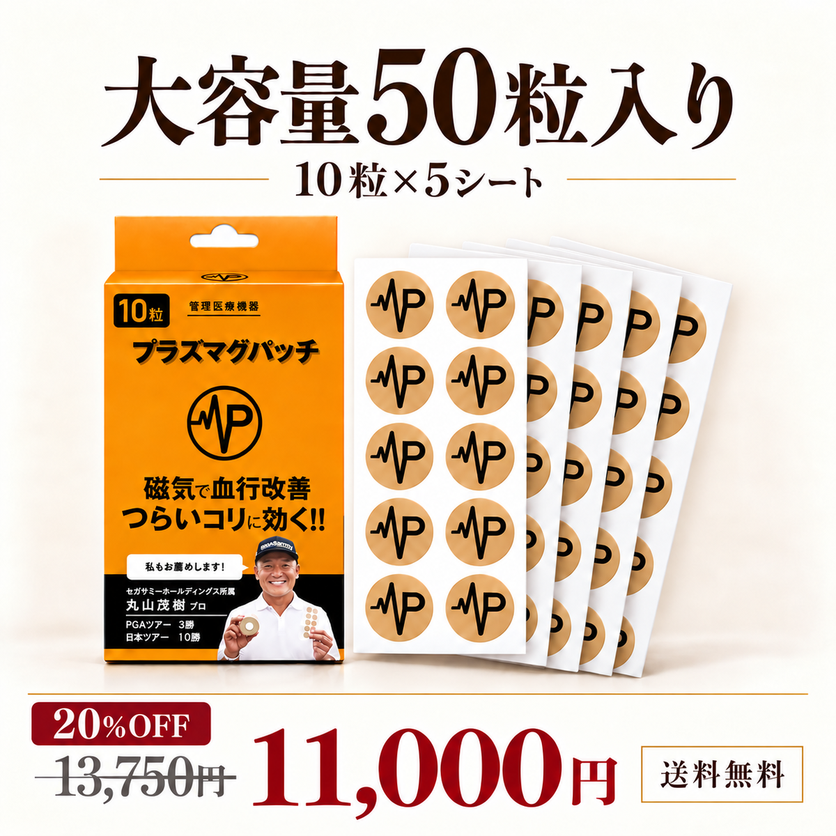 管理医療機器 プラズマグパッチ