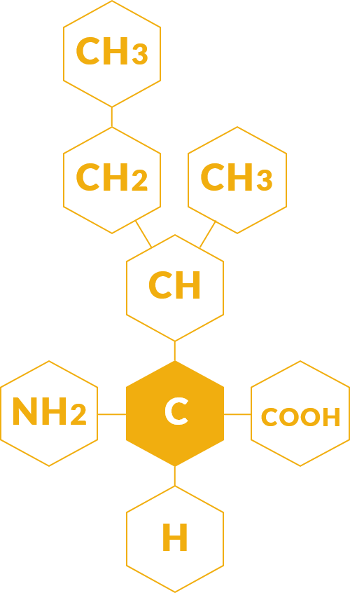Isoleucine