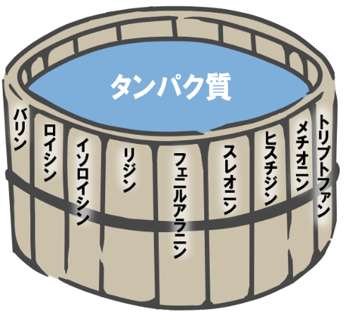 アミノ酸スコア100