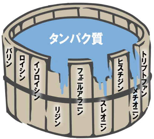 アミノ酸スコア100未満など